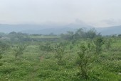 Cần bán đất Cao Phong giá rẻ view đẹp