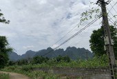 Bán Nhanh 1000m View Cánh Đồng Thơm Mát Giá Vô Cùng Rẻ