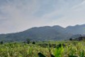 Bán đất tại Cao Phong Hòa Bình diện tích 1194m FULL ont diện tích thực tế 2000m thế đất bằng phẳng view cánh đồng thoáng mát trong đất có sẵn nhà