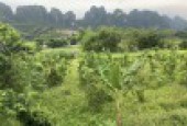 Bán đất tại kim bôi hòa bình diện tích 6000m có 2494 ont đất phẳng đẹp view cánh đồng thoáng mát  gần đất có sông chảy qua