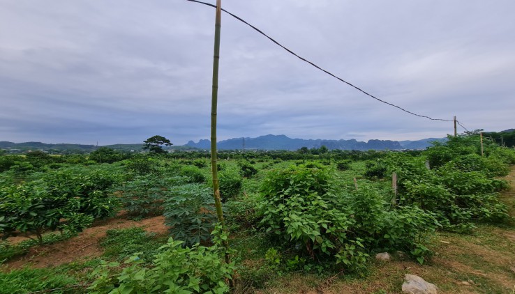 1,5 tỷ 6000m - 400m đất ở - 70m mặt đường xe tải - Tân Lạc - Hoà Bình. Cách TT Mãn Đức 1km HN 90km