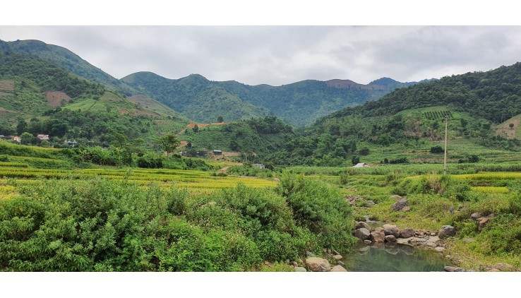 Bán đất Cao Phong 1000m full thổ cư view núi đồi thơ mộng