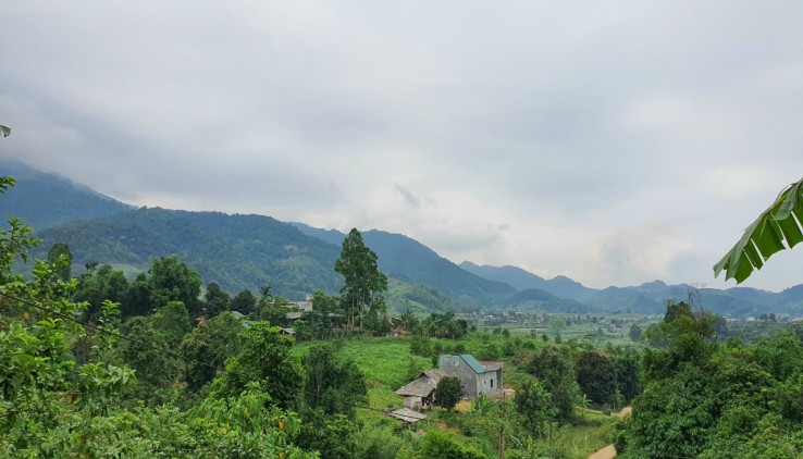 Bán đất Cao Phong 1500m full thổ cư giá nhỏ nhắn xinh xắn chỉ vài trăm triệu