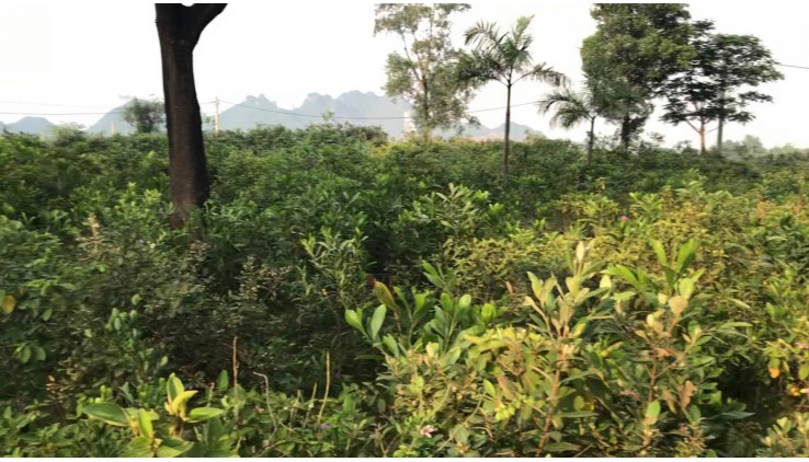 Bán đất Lương Sơn dt 1200m view hồ Đồng Chanh và núi Bé Siêu đẹp ,không gian thoáng