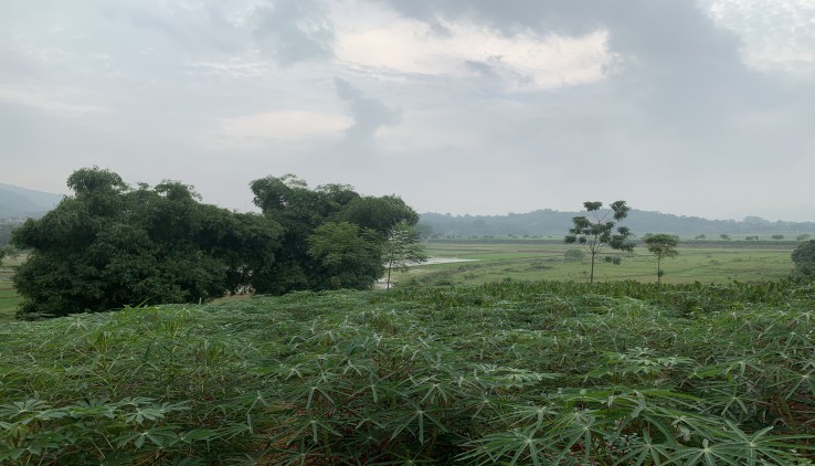 BÁN ĐẤT NGHỈ DƯỠNG BA VÌ - 2928M CÓ 400 THỔ CƯ, BÁM ĐƯỜNG NHỰA LIÊN HUYỆN, VIEW CÁNH ĐỒNG, VIEW NÚI