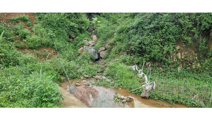 Bán 4.7ha rừng sản xuấttại Xuân Phong, Cao Phong giá rẻ bất ngờ
