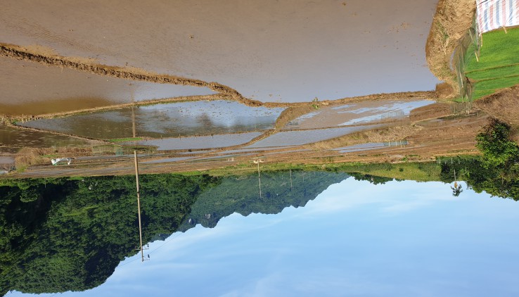 Chính chủ gửi bán lô đất tại Tú sơn Kim Bôi. Diện tích 3050m view cánh đồng tuyệt đẹp, giá siêu rẻ.