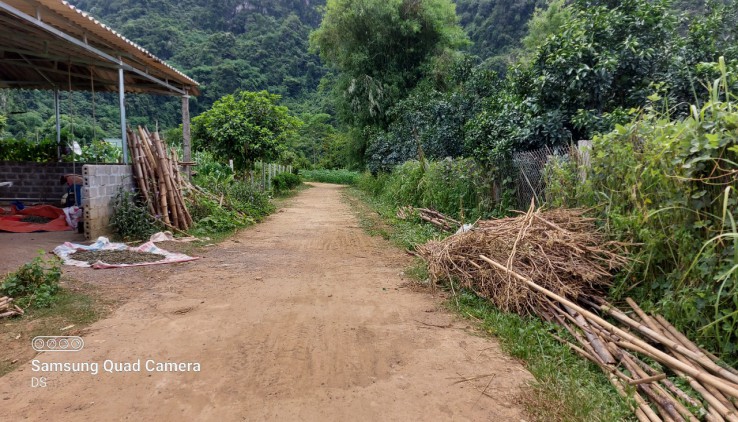 Cắt bán mảnh đất 2100m có thổ cư đất bằng phẳng vuông vắn tại Tân Lạc , Hoà Bình