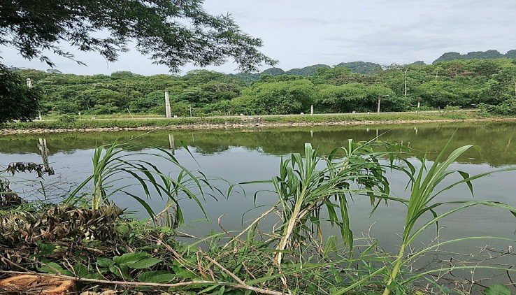bán đất Lương Sơn Hoà Bình DT 1300m2 đất ở và đất vườn bám hồ nước trong xanh quanh năm