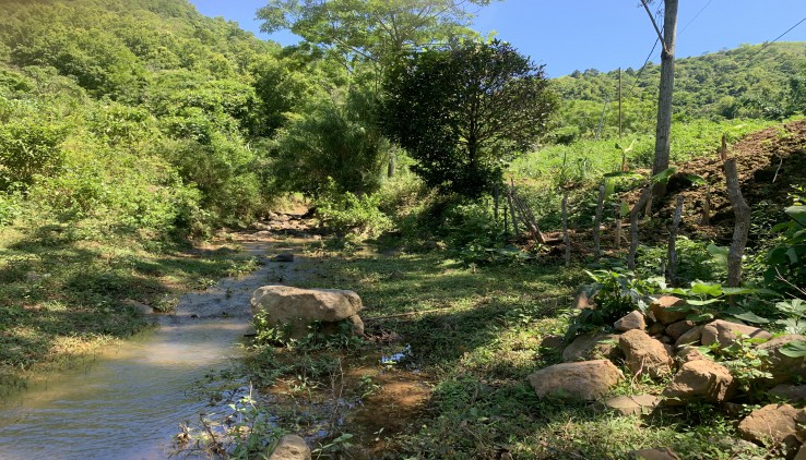 BÁN ĐẤT CAO PHONG HOÀ BÌNH - HƠN 4000M THỔ CƯ VÀ ĐẤT VƯỜN- ĐẤT BÁM SUỐI ĐẸP, BÁM ĐƯỜNG BÊ TÔNG DÀI - GẦN KHU DU LỊCH THÁC NÀNG THƠ