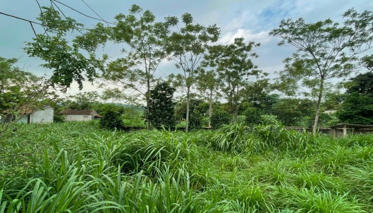 Nhỉnh 1 tỷ sở hữu 500m2 xanh mướt mặt tiền rộng, vuông vắn tại Yên Bài - Ba Vì - Hà Nội