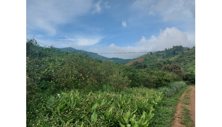 Bán đất Cao Phong diện tích 17000m có 800 thổ cư lô đất có 2 mặt tiền phù hợp để đầu tư giữ tiền và phân lô