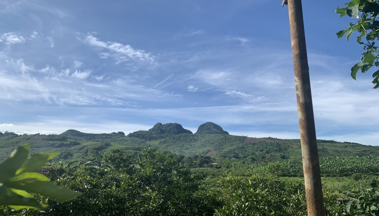 4440 m có 400 ont còn lại đất vườn tại bắc phong cao phong