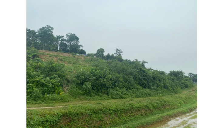 Đất 2 mặt tiền bám đường liên xã ,S= 2824m.400ont tại Thành Lập - Lương Sơn - Hoà Bình