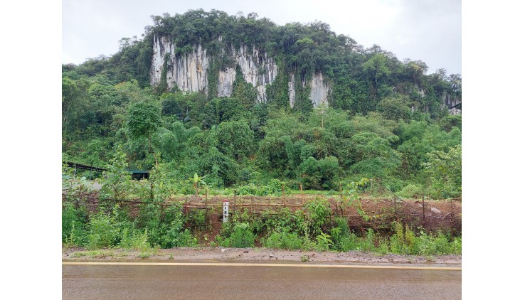 CẦN BÁN HƠN 400M ĐẤT CÓ THỔ CƯ BÁM ĐƯỜNG LỚN TẠI THUNG NAI, VIEW CAO THOÁNG MÁT.