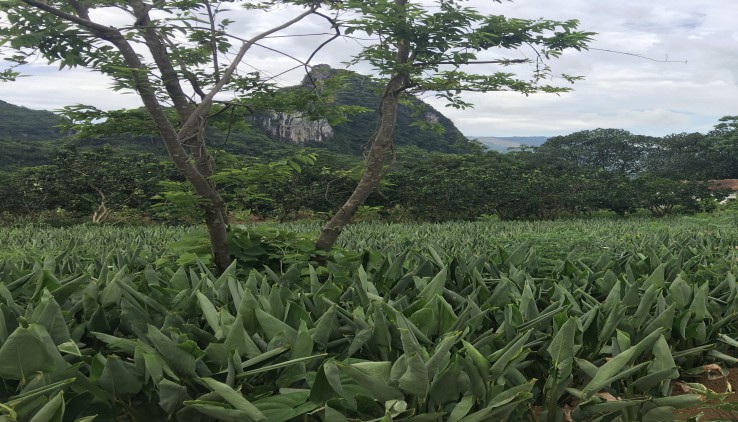 Bán 3400m.400ont bám đường to rộng 60m , view núi đá giá rẻ tại Lương Sơn - Hoà Bình,