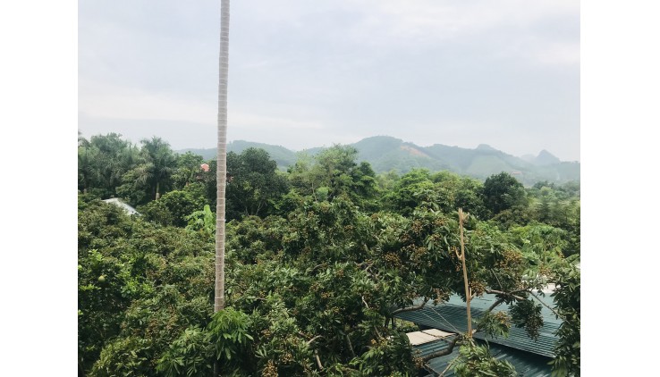 Bán đất TT Lương Sơn, sẵn nhà, vườn cây 1417m2, giá siêu đẹp