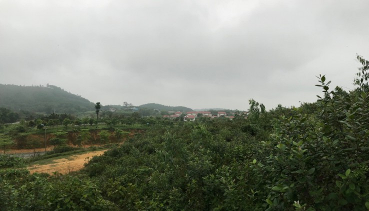 Chuyển nhượng đất thổ cư nhà vườn tại trung tâm đô thị vệ tinh Hòa Lạc diện tích 2,8ha