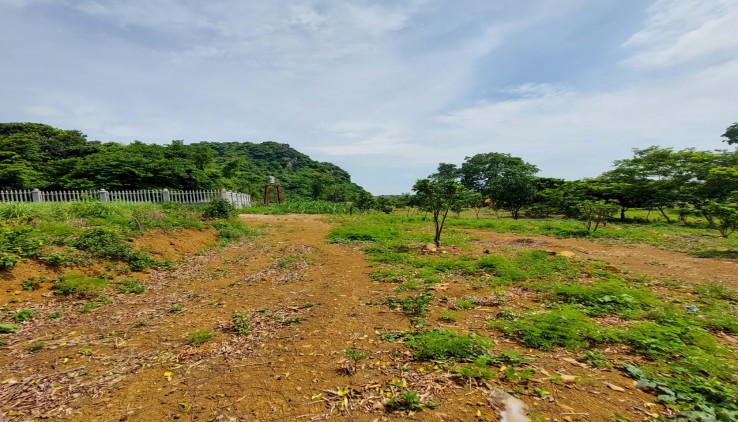 Bán 4780m đất thổ cư đầu tư nghỉ dưỡng tại Lương Sơn, Hoà Bình giá 900k/m.