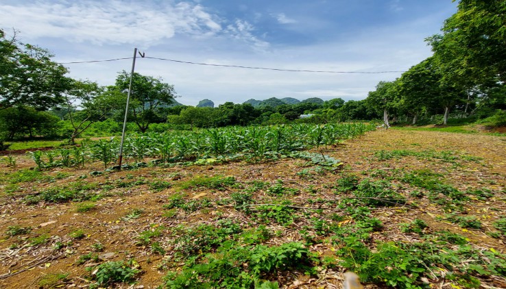 TÌM CHỦ MỚI CHO bds NGHỈ DƯỠNG VIEW THOÁNG ĐẸP