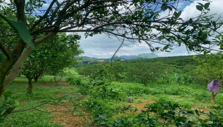 Chính chủ gửi bán mảnh đất thuộc Đú Sáng ,Kim Bôi diện tích 3200m view cực thoáng