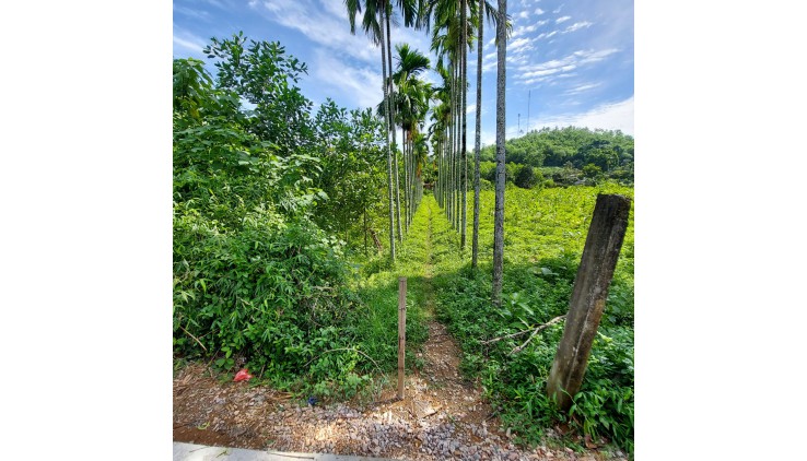 Bán đất Lương Sơn 1.6Ha có 3000m ont, đất góc 2 mặt tiền bám đường lớn