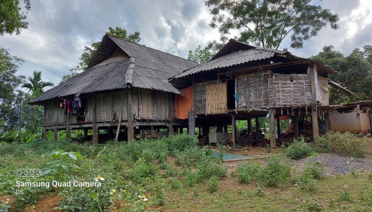 Bán đất Tân Lạc 7000m có ao, 400m thổ cư giá rẻ.