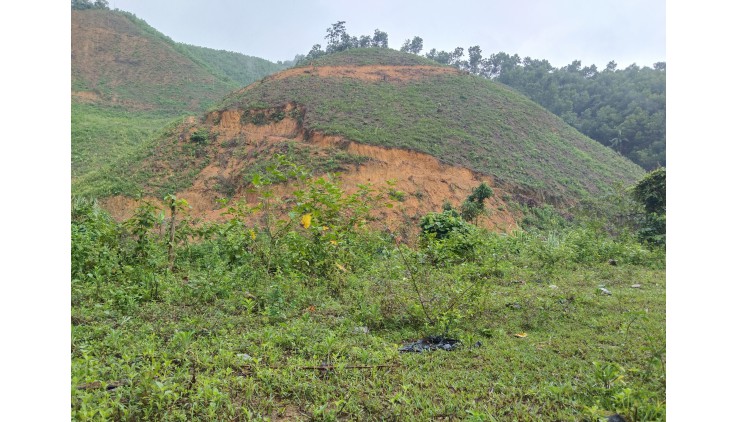 Bán gấp 32ha đất rừng sản xuất tại Cao Sơn, Lương Sơn