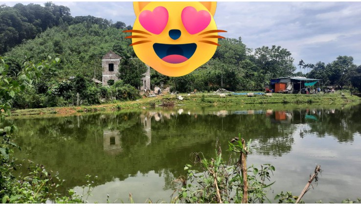 Thung mộ thạch thất yên bình Hà Nội