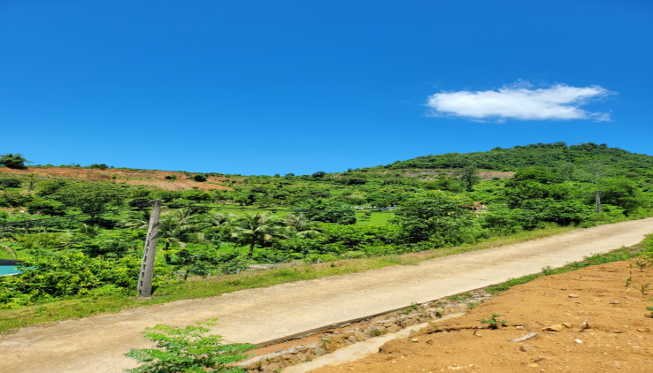 Bán đất Suối Nẩy Hòa Sơn dt 6000m .địa thế đất cao thoáng ,view panorama siêu đẹp ,gần nhiều homstay ,