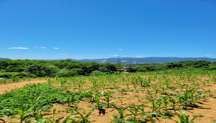 Bán đất Suối Nẩy Hòa Sơn dt 6000m .địa thế đất cao thoáng ,view panorama siêu đẹp ,gần nhiều homstay ,