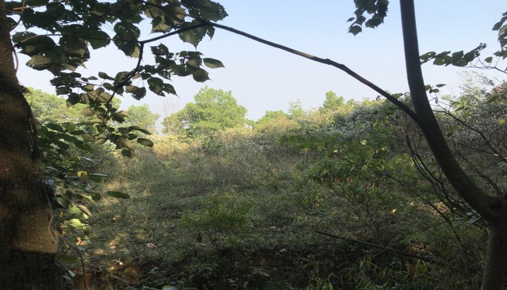 Bán 200000m đất RXS phù hợp làm dự án sinh thái Tại Lương Sơn-Hòa Bình