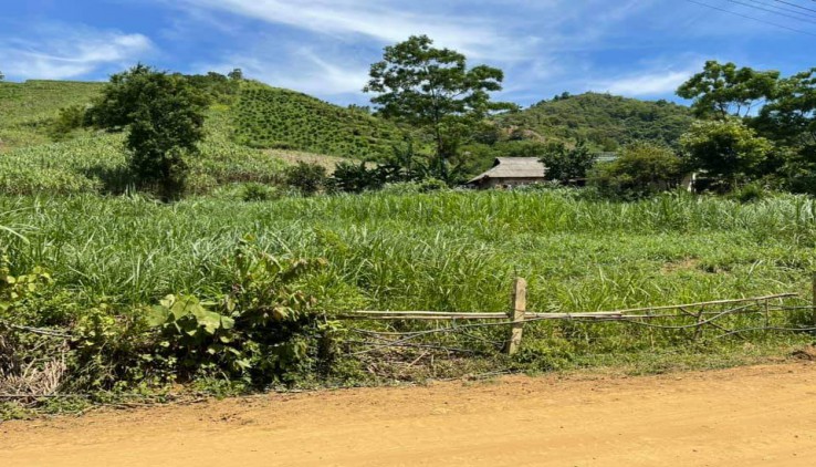 CHÍNH CHỦ GỬI BÁN MẢNH ĐẤT 1780M LÔ ĐẤT ĐẸP NHƯ HOA HẬU GIÁ RẺ TẠI CAO PHONG -HOÀ BÌNH