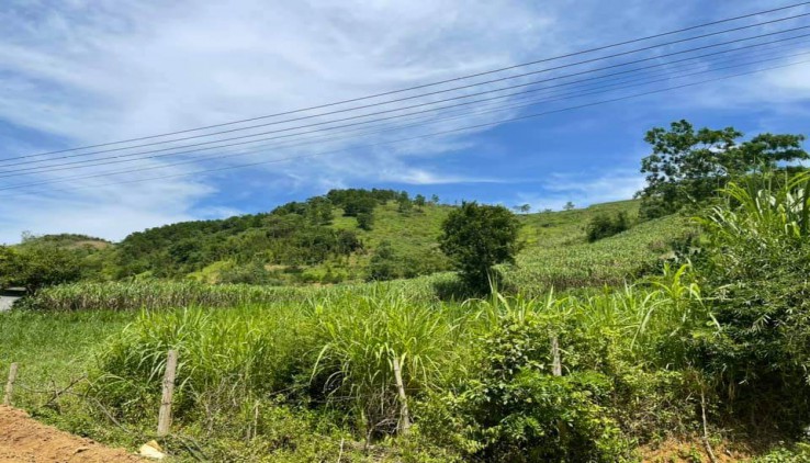 CHÍNH CHỦ GỬI BÁN MẢNH ĐẤT 1780M LÔ ĐẤT ĐẸP NHƯ HOA HẬU GIÁ RẺ TẠI CAO PHONG -HOÀ BÌNH