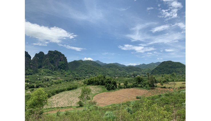 Bán đất cao phong diện tích 2500m có 200 ont thế đất thoải view núi đá thoáng mát