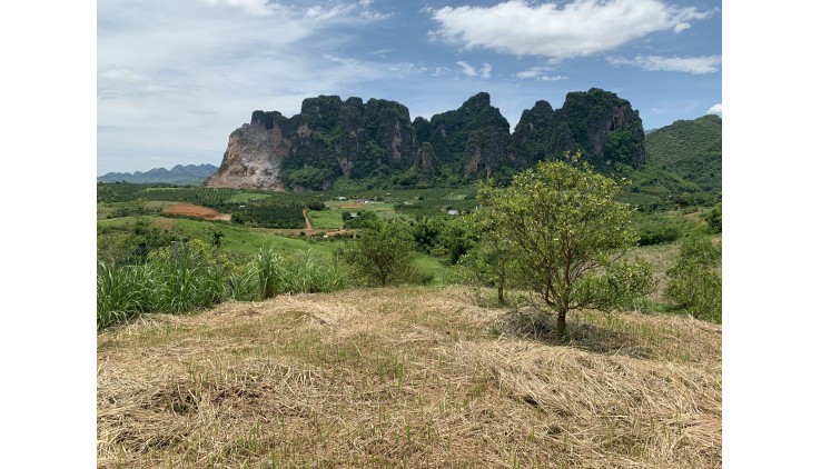 Bán đất cao phong diện tích 2500m có 200 ont thế đất thoải view núi đá thoáng mát