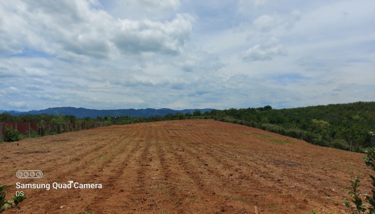 Bán đất Tân Lạc 5000m đất trồng cây lâu năm view thoáng,bằng phẳng