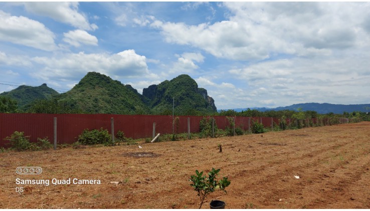 bán gấp 5000m chỉ vài trăm triệu thích hợp làm nghỉ dưỡng, homestay, farmstay, đầu tư