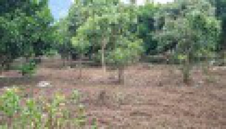Cần chuyển nhượng 5500m đất thổ cư đất vườn tại Vĩnh Tiến-Kim Bôi giá đầu tư