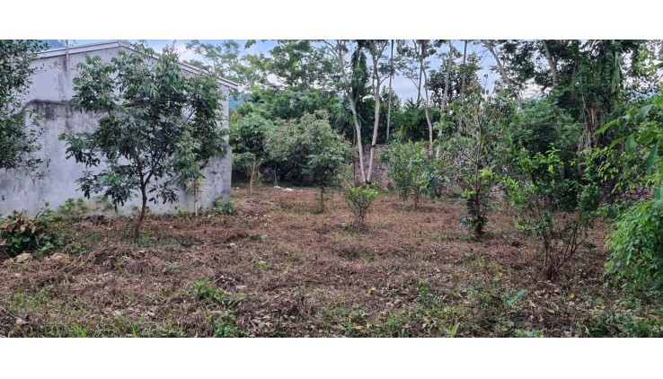 Cần chuyển nhượng 5500m đất thổ cư đất vườn tại Vĩnh Tiến-Kim Bôi giá đầu tư 650k/m.