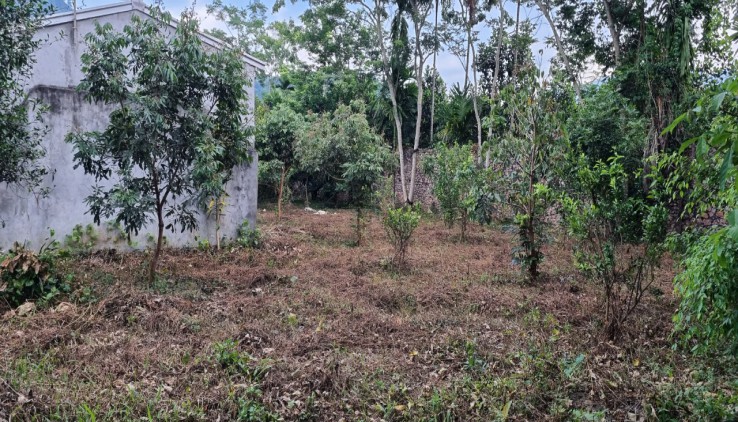 Cần chuyển nhượng 5500m đất thổ cư đất vườn tại Vĩnh Tiến-Kim Bôi giá đầu tư 650k/m