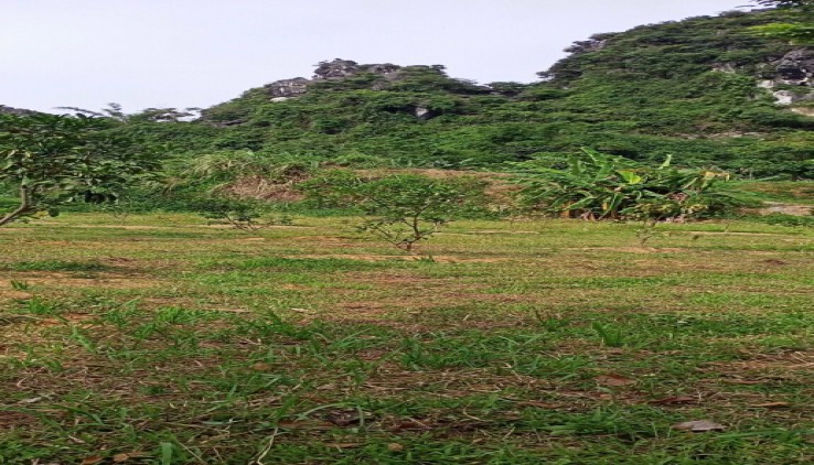 Bán đất nghỉ dưỡng lưng tựa núi , view cánh đồng tại Cao Dương - Lương Sơn - Hòa Bình