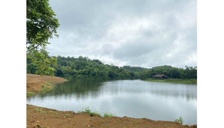 Chính chủ gửi bán mảnh đất diện tích 9800m2 bám mặt hồ 300m, thổ cư 300m, Đc: Cao Dương, Lương Sơn, Hoà Bình.