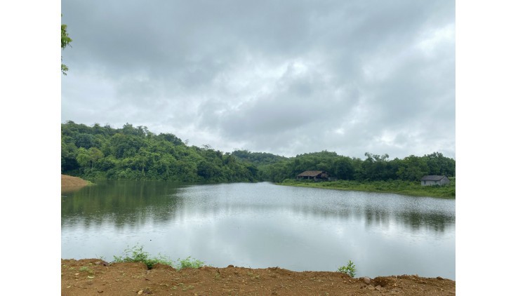 Chính chủ gửi bán mảnh đất diện tích 9800m2 bám mặt hồ 300m, thổ cư 300m, Đc: Cao Dương, Lương Sơn, Hoà Bình..