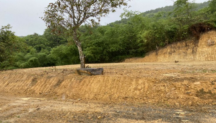 Các nhà đầu tư nhanh tay sở hữu lô đất đã cải tạo tại xã Mông Hoá, Kỳ Sơn, Hoà Bình.
