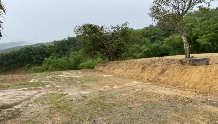 Các nhà đầu tư nhanh tay sở hữu lô đất đã cải tạo tại xã Mông Hoá, Kỳ Sơn, Hoà Bình.