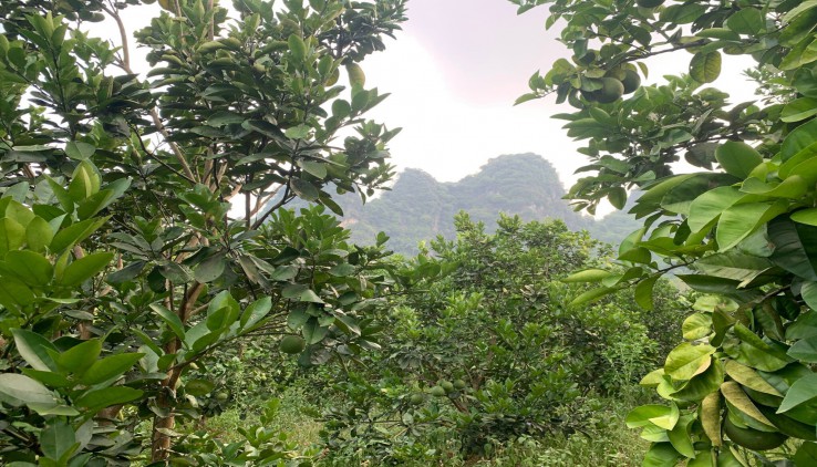 Bán đất kim bôi view thoáng,cách trung tâm hà nội 60km