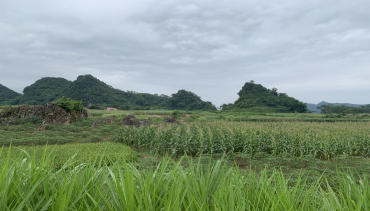 Bán gấp 1.4ha thực tế sd 2ha kim bôi siêu đẹp, không đăng mạng, zalo.