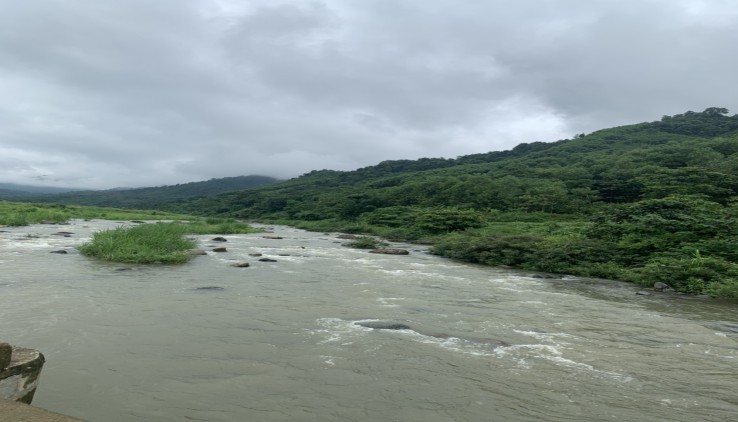 BÁN ĐẤT KIM BÔI 3,4HA BÁM SUỐI 200M VIEW CÁNH ĐỒNG GIÁ 2,X TỶ