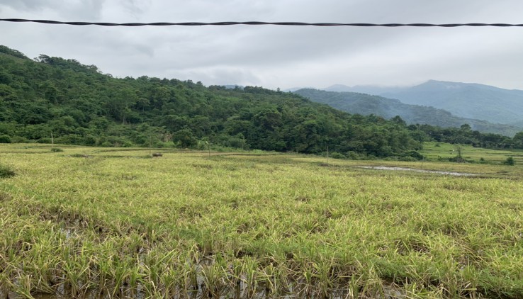 BÁN ĐẤT KIM BÔI 3,4HA BÁM SUỐI 200M VIEW CÁNH ĐỒNG GIÁ 2,X TỶ